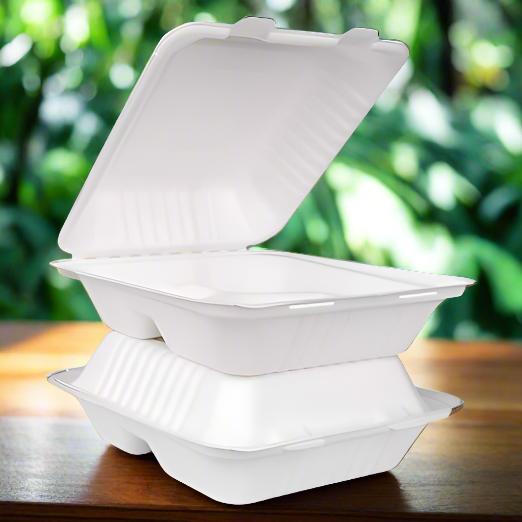 Sugarcane Bagasse